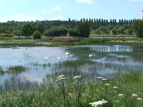 A la découverte du restaurant Le Marais à Villers-sur-Mer