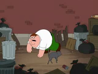 Family Guy turf war with cat