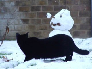 Jet and the Snow Dwarf 12 Dec 2010