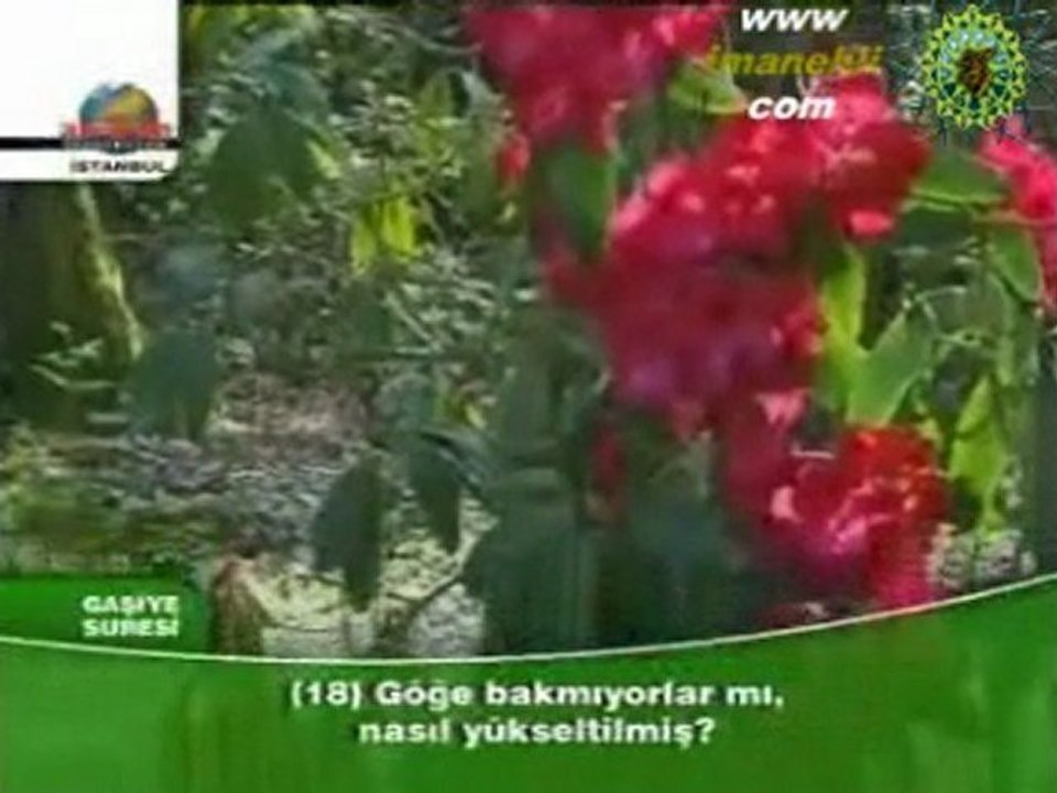 Fethi Meliki - Gasiye suresi