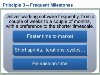 The Agile Manifesto for Project Managers