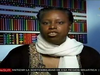 Mckinney confima bombardeos de la OTAN en zonas pobladas