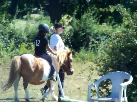 1er concours hippique