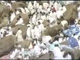 Le Guide Du Pèlerin HAJJ et 'OMRA