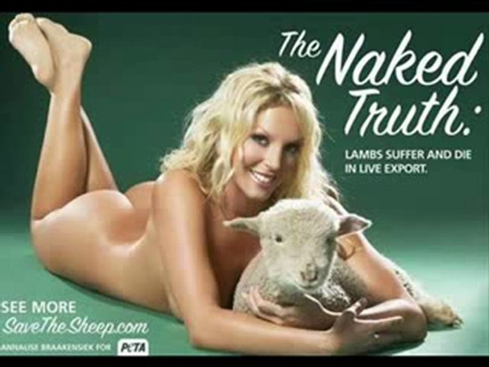 Why+I+hate+Peta._xvid