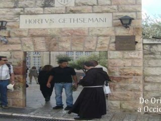 En el Huerto de los Olivos. Gethsemaní.