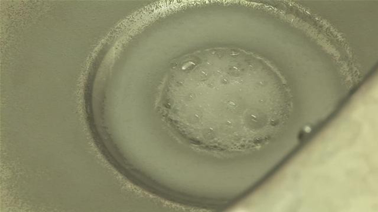 How To Clean A Smelly Sink