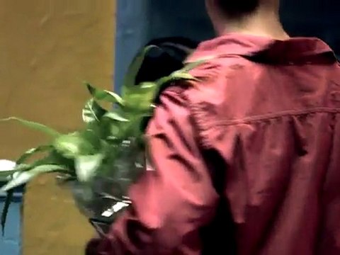 Seal - Love's Divine