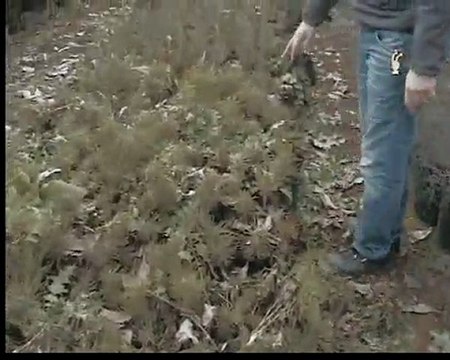 ömer faruk çerçinin fidanlıgı