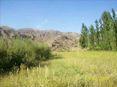 ramazan ortak,sincik,adıyaman,malatya,bilgisayarcı,webtasarı