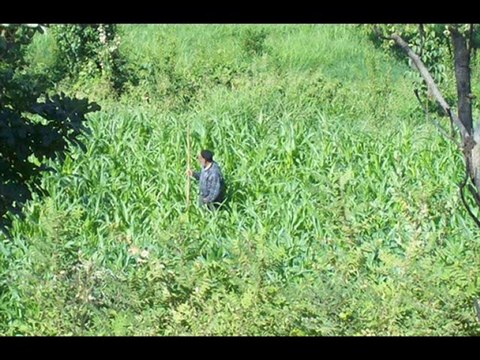 ramazan ortak,sincik,adıyaman,malatya,bilgisayarcı,webtasarı