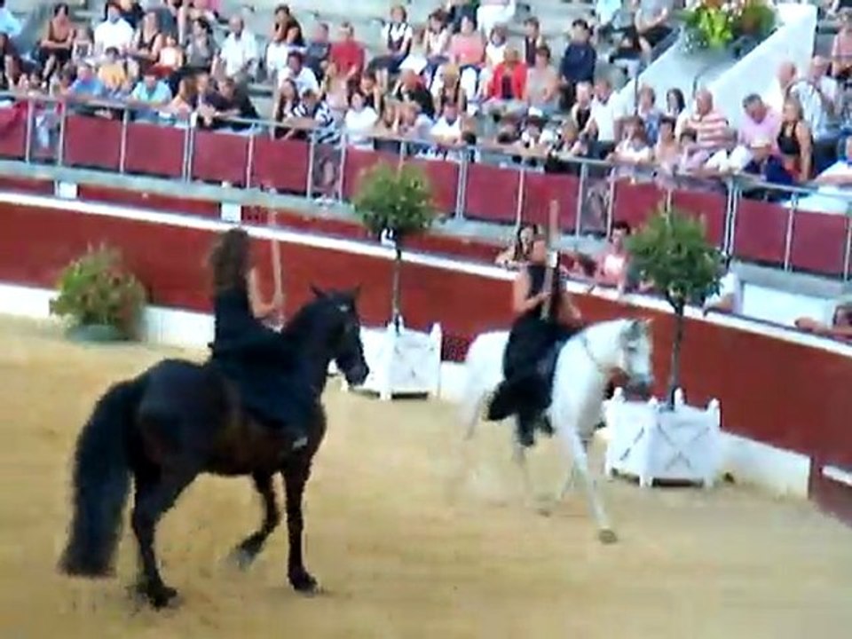 Demo equestre 004