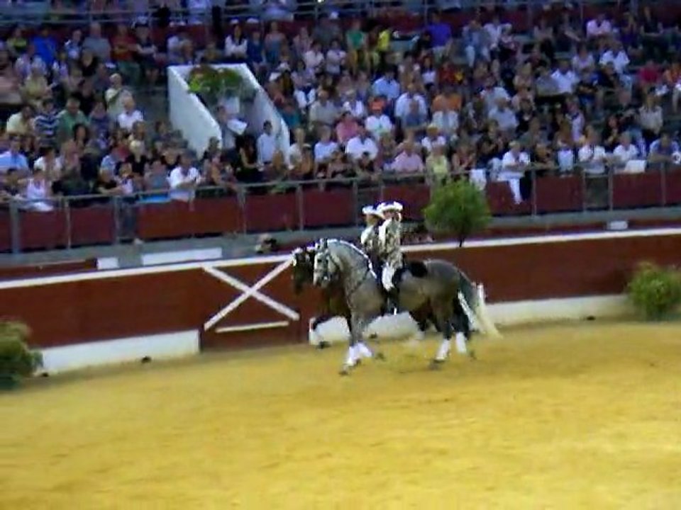 Demo equestre 016