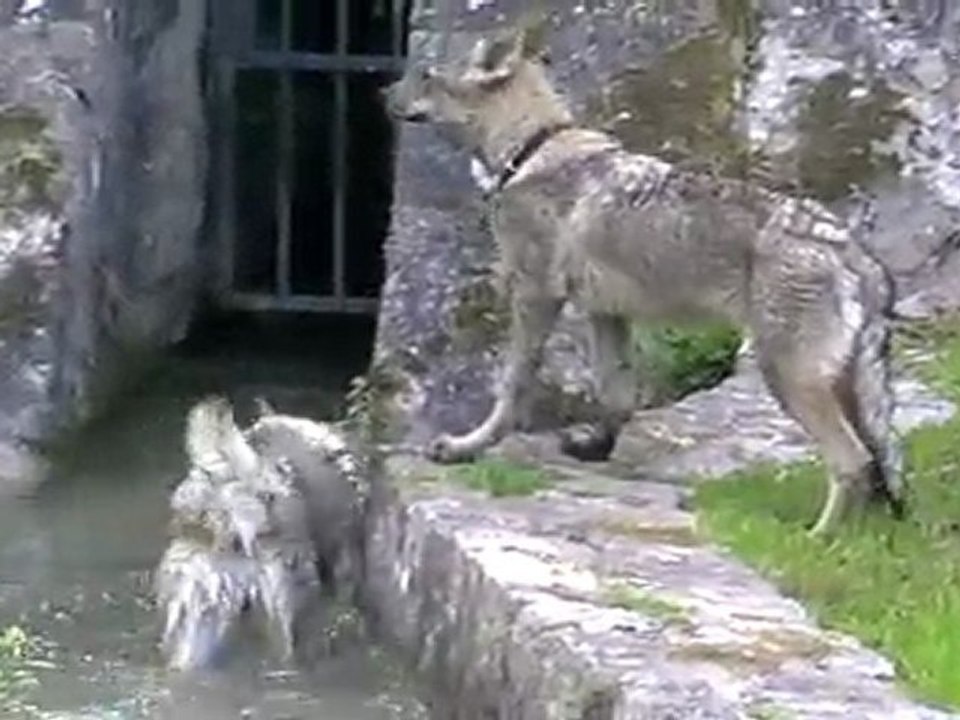 MOV010