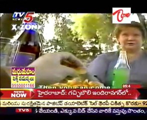 TV5 X - Zone - Sex Business - Women Trapped in Sex Industry - 02