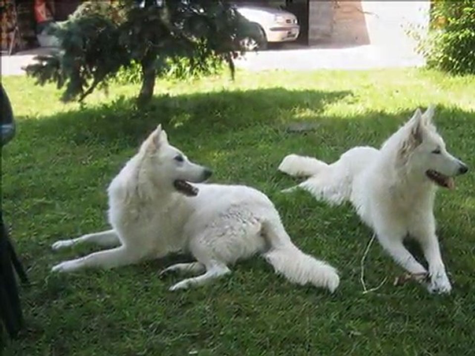 Elka & Duc