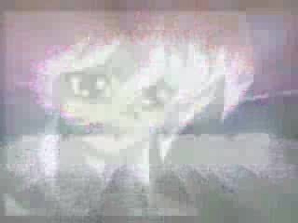 Imaginary -Our Ways AMV - BakuChris
