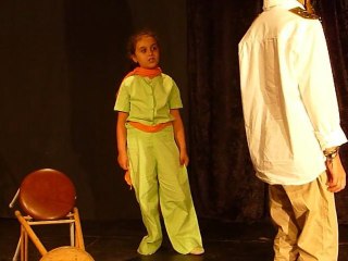 Le Petit Prince - L'Avion