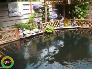 denny&monique KOI vijver 26-06-2011