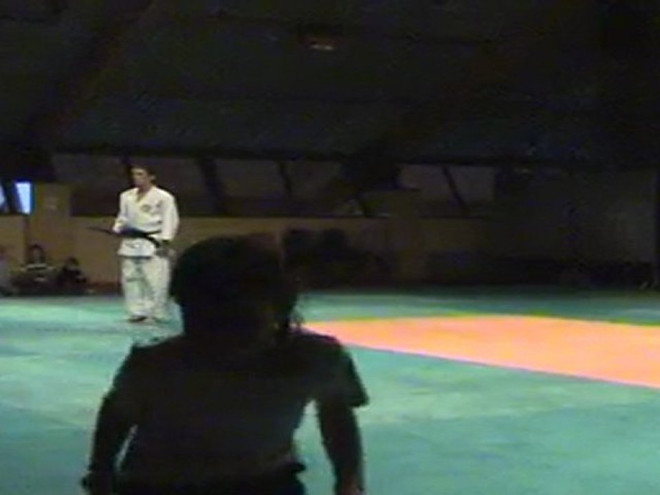 Wa-Jutsu Allinges1 16 Avril 2011  9