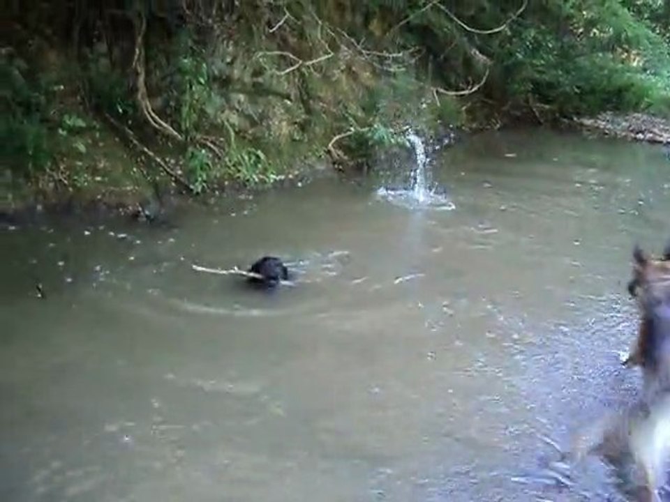 dimanche 26 juin 2011 st alban du rhone 041