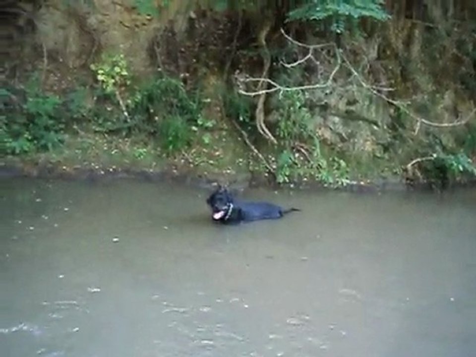 dimanche 26 juin 2011 st alban du rhone 043