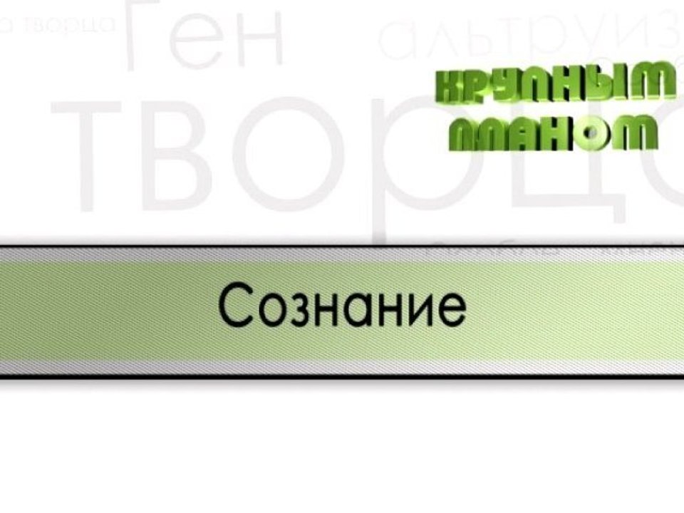 Сознание