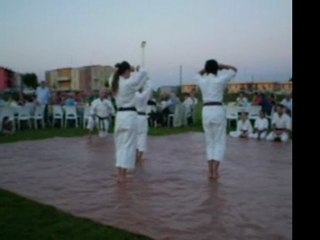 dimostrazione Formigosa kata bassai dai