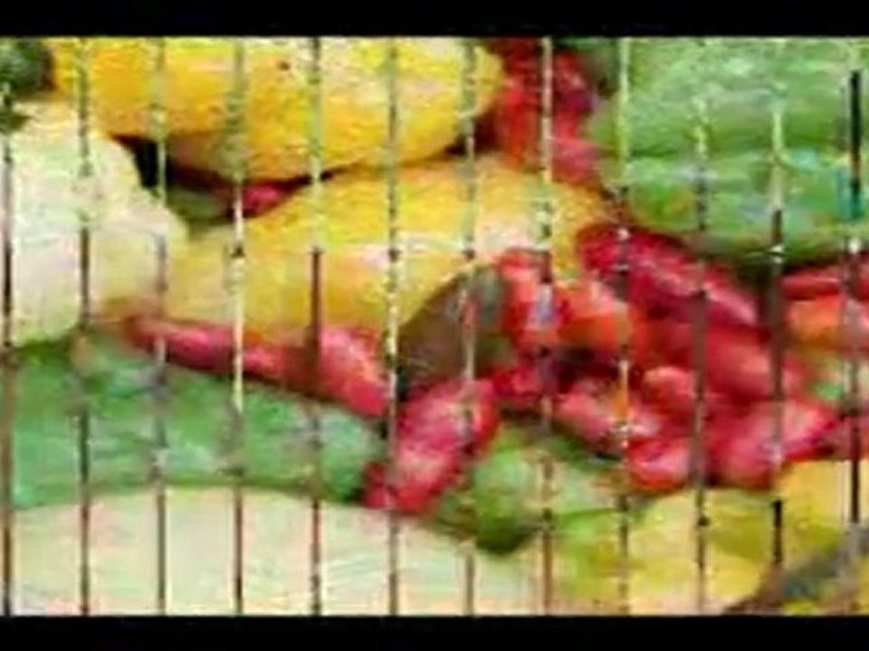 Gourmet 'Ital' Dining at Zimbali Retreats