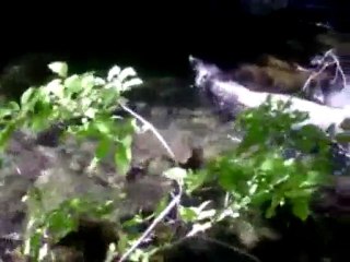 Huerquehue,Trekking Los Lagos por Jorge Campos Vivallos