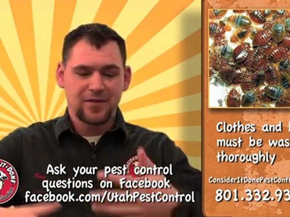 Pest Control Layton - How Do You Get Rid of Bed Bugs