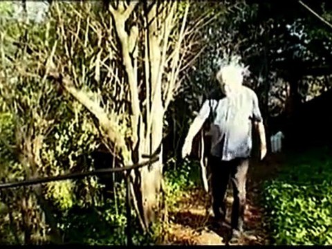 Arte - Drogues et Cerveau - Drogues Psychédéliques