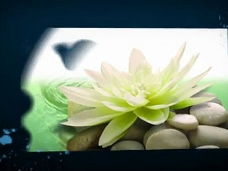 Seeking Infertility Vancouver Treatments