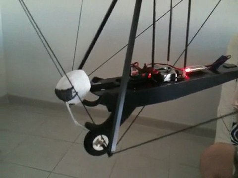 Delta-Plane RC Hang-Glider, pilot's pendular movements