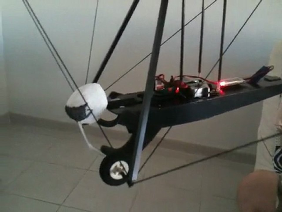 Delta-Plane RC Hang-Glider, pilot's pendular movements