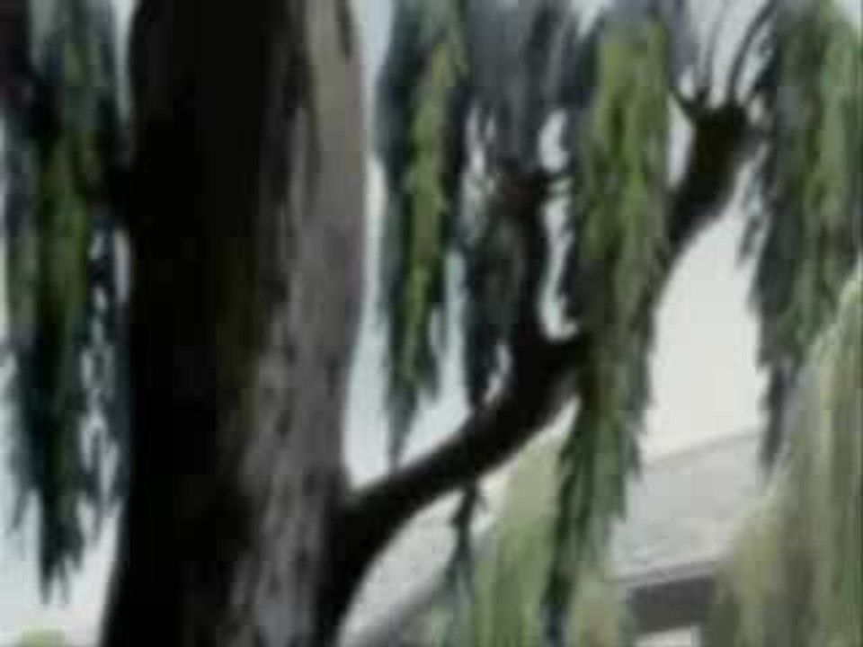 Peacemaker fandub clip