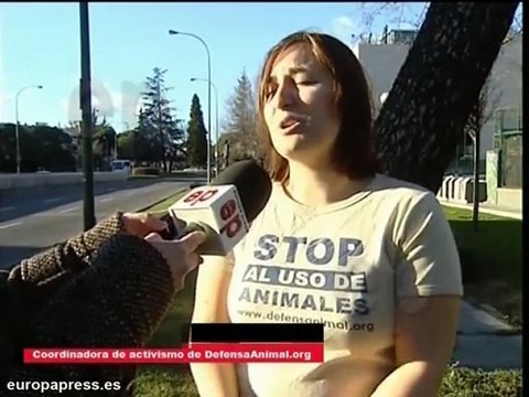 Toros: ¿Bien de interés cultural o maltrato?