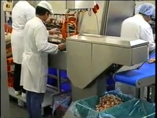 Equimex Chicken Spare Rib Processor CSRP-1, add something to your Wing Products