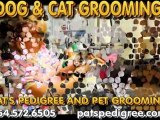 Best Dog And Cat Grooming Pet Supplies  Grooming, Local! Pet