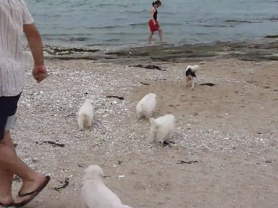 Bébés Daelynn &  Heaven