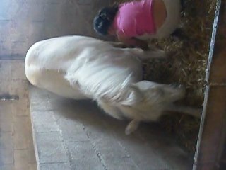 dorothée a la révérence et clothilde