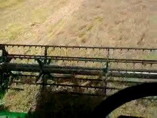 moisson d'avoine noire avec une bateuse john deere w 540