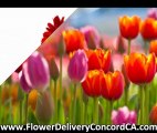 Flower Delivery Concord CA - Types of Flower Arrangements