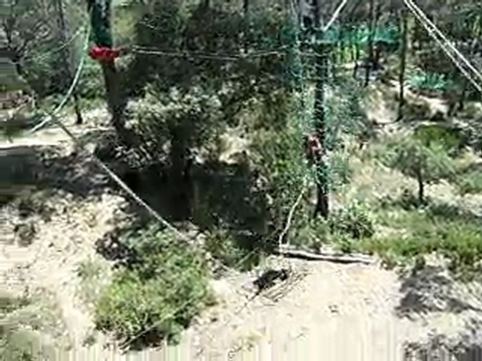 Grand saut de Tarzan