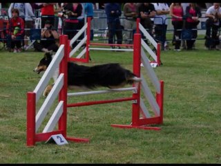 Championnat de France 2011