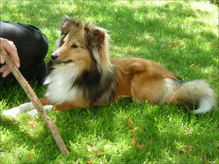 FAYA  9 mois juin 2011