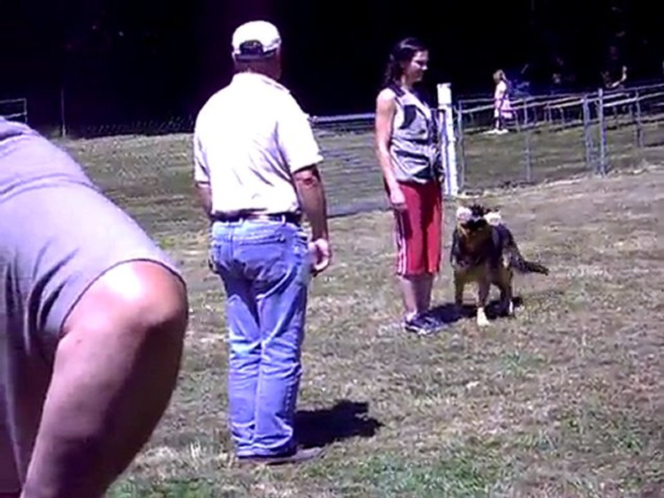 CLIP des Côteaux du Lys