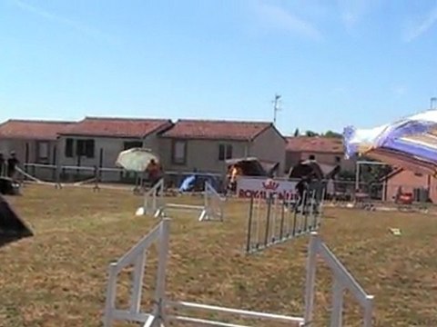 ETHAN 1 ER DEGRE -BREVET 260611-tlse capitole agility