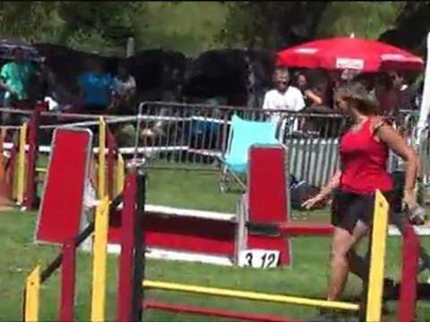 concours agility st dié c'ven 2011