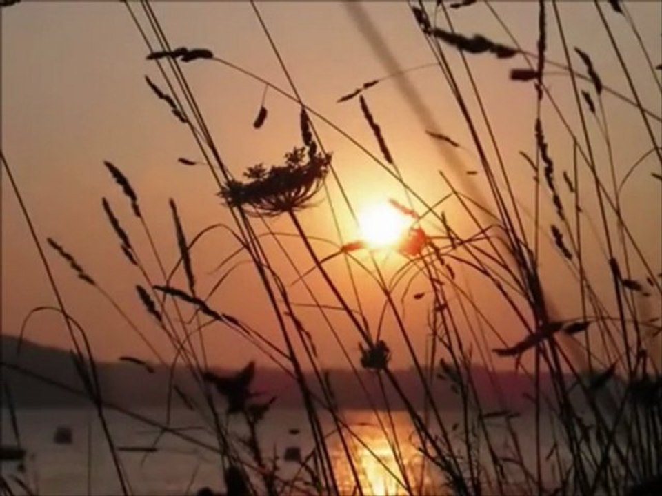 COCKEYE'S SONG